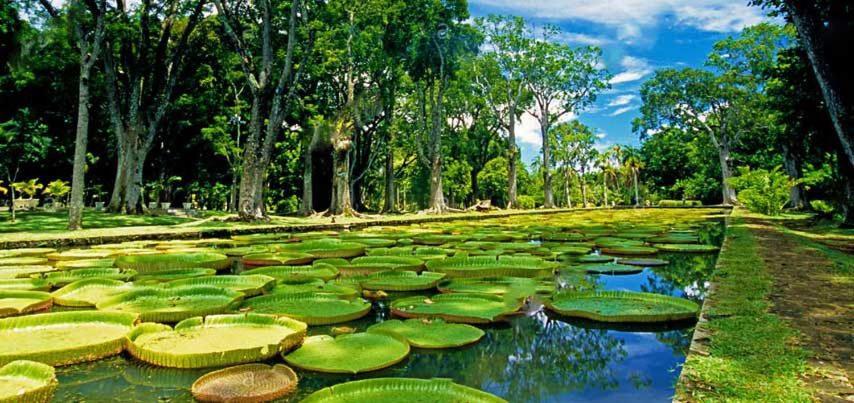 Lotus Villa, Residences Le Chaumet, Pereybere Bain Boeuf Eksteriør bilde